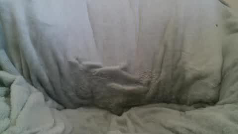 circumsizedbandit online show from 02-10-25, 11:34