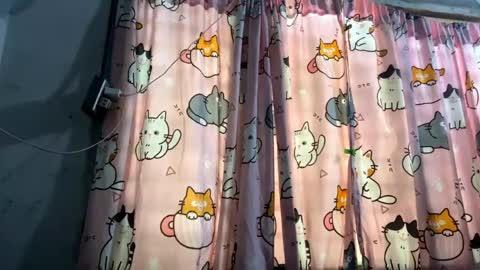 Mikki online show from 05-12-26, 06:43