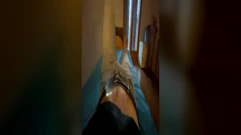 clou18 online show from 06-14-26, 06:21