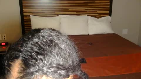 chanel online show from 03-02-26, 09:10