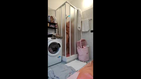 Snapshot of coppiabhubhuz chatting on 03-14-26, 04:56 Coppiabhubhu online show from 03-14-26, 04:56