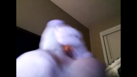 Cranada777 online show from 02-24-25, 01:21