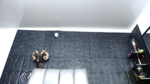 Hanna  online show from 04-21-26, 08:53