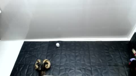 Snapshot of cristal_smith06 chatting on 06-12-26, 07:07 Hanna online show from 06-12-26, 07:07