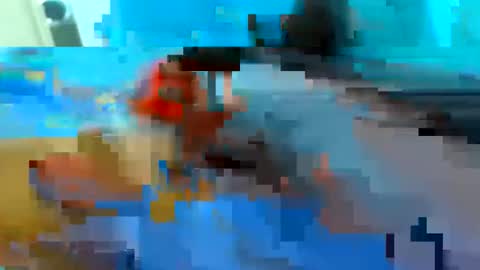 cristian20240816 online show from 05-17-26, 02:46