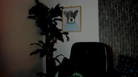 Cristian online show from 03-29-26, 11:38