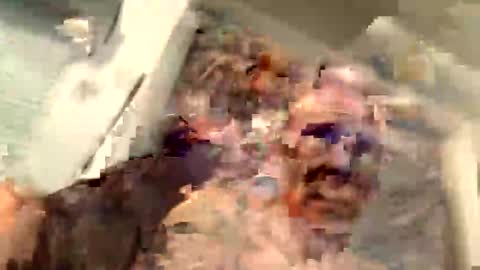 Snapshot of critterick6674 chatting on 03-31-26, 11:27 critterick6674 online show from 03-31-26, 11:27