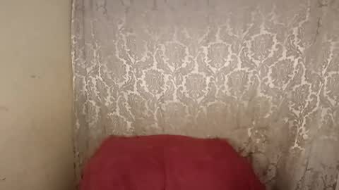 carol     online show from 04-06-26, 02:31