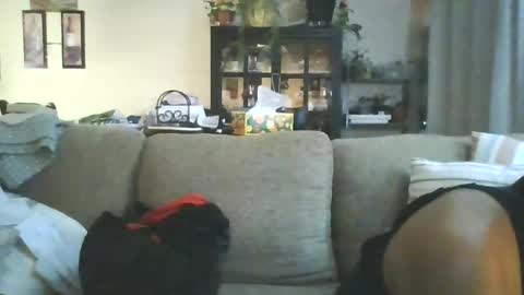 cumdumpslutfag online show from 06-11-26, 09:51