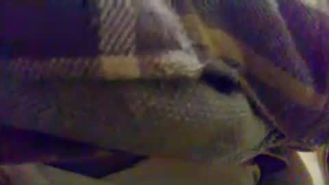 cumtowa online show from 06-17-26, 12:13