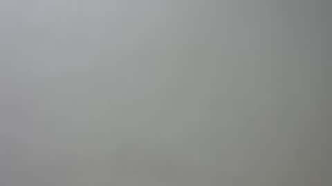 Snapshot of curvylizy chatting on 06-24-26, 02:49 liz online show from 06-24-26, 02:49