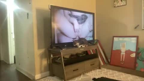 CuteUwUboytoy online show from 03-18-26, 08:17