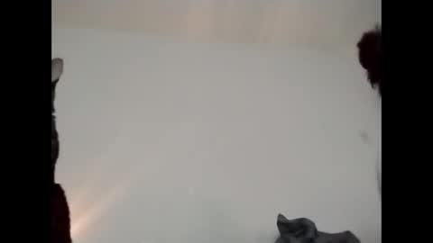 Snapshot of daddi_stick chatting on 05-23-26, 08:35 daddi_stick online show from 05-23-26, 08:35