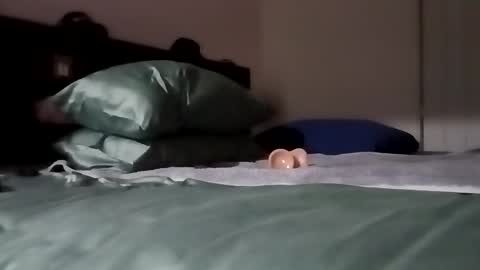 Snapshot of daddy69sx77 chatting on 02-06-26, 04:54 Kasey Xdresser online show from 02-06-26, 04:54