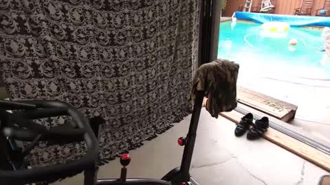 Snapshot of daddycache chatting on 09-27-25, 04:34 bas online show from 09-27-25, 04:34