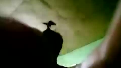 Snapshot of daddyhug556940 chatting on 07-19-26, 01:37 johnloyd online show from 07-19-26, 01:37