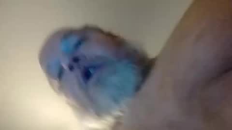 Snapshot of daddyshome4115 chatting on 12-20-25, 06:42 Daddyshome4115 online show from 12-20-25, 06:42