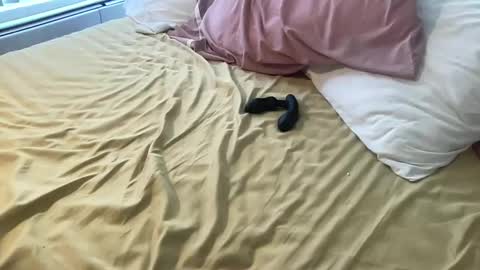 Snapshot of dadstrokin chatting on 03-08-26, 05:28 dadstrokin online show from 03-08-26, 05:28