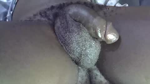 Snapshot of dadyschlong chatting on 03-04-26, 11:38 GIANT Lamar 72 ft tall with a 10 inches BBC hard quick cumshot in private show lets go online show from 03-04-26, 11:38