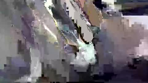 Snapshot of dadyschlong chatting on 03-26-26, 12:00 GIANT Lamar 72 ft tall with a 10 inches BBC hard quick cumshot in private show lets go online show from 03-26-26, 12:00