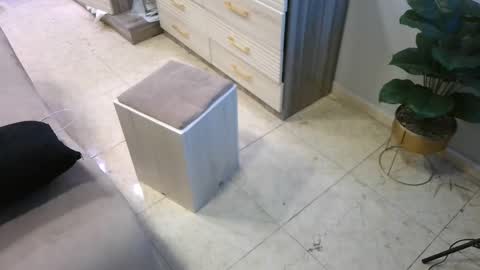 Deffa online show from 02-23-25, 08:49