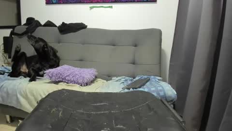 dahianna_27 online show from 01-17-25, 08:45