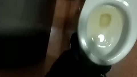 damian950 online show from 04-12-26, 01:43