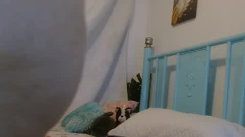 damn_milaa online show from 05-22-26, 12:51