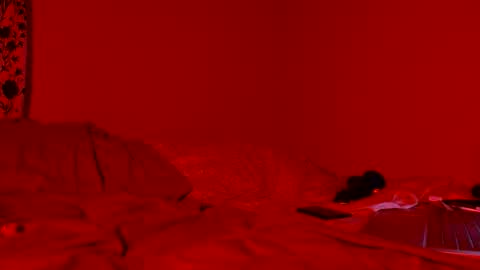 Nova online show from 04-11-26, 08:18