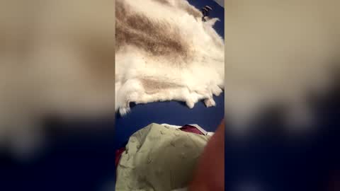 damontsi online show from 03-22-26, 09:34