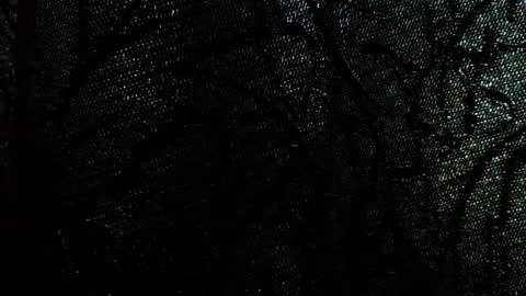 Damson online show from 09-28-25, 08:09