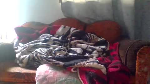 dani9821569006 online show from 03-25-26, 05:08