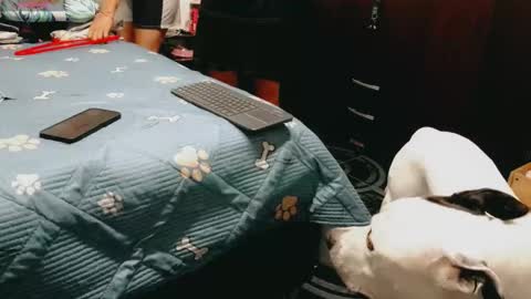 dani y jocelyn online show from 02-16-26, 07:21