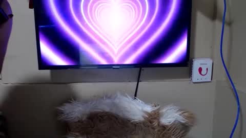 Danica online show from 05-15-26, 11:12