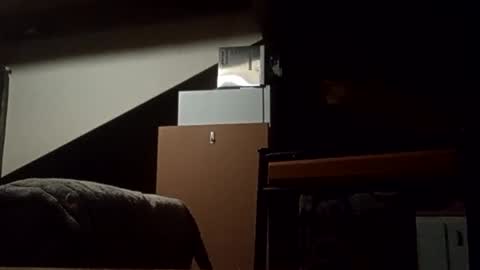 danieldayz online show from 11-04-25, 10:58