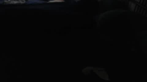 Smallcock17 online show from 05-14-26, 06:37