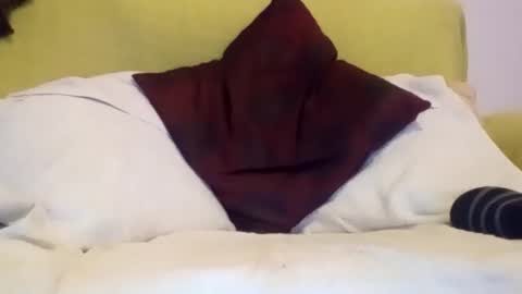 daniroca8 online show from 02-17-26, 06:36