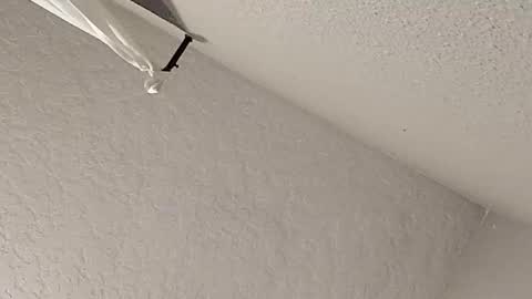 dano9696 online show from 02-23-26, 07:28