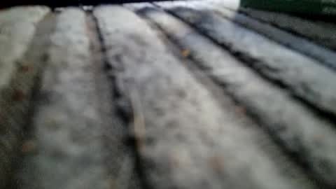 davros8621 online show from 11-02-25, 01:13