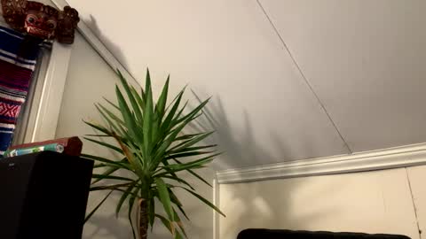 dayblue online show from 03-02-26, 02:58