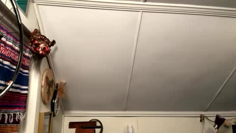 dayblue online show from 06-06-26, 04:28