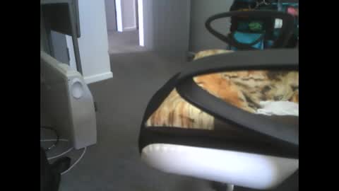 Dazzle68 online show from 03-14-26, 10:48