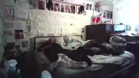 dbeamon92 online show from 02-07-26, 12:25