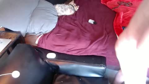 DCTeamFucker online show from 04-17-26, 05:49