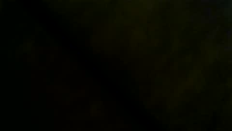 Snapshot of dealr9 chatting on 03-29-26, 05:07 dealr9 online show from 03-29-26, 05:07