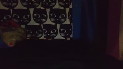 CozyClementine online show from 04-09-26, 08:09