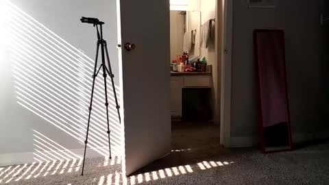 Chocolatekink online show from 01-07-26, 07:16