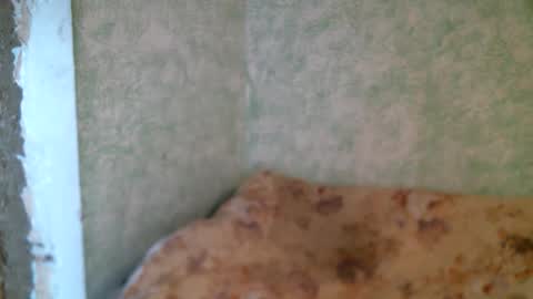 Snapshot of dennisxcarol chatting on 04-23-26, 10:14 DennisXCarol online show from 04-23-26, 10:14