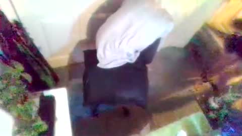 denveversbb online show from 04-03-26, 08:51