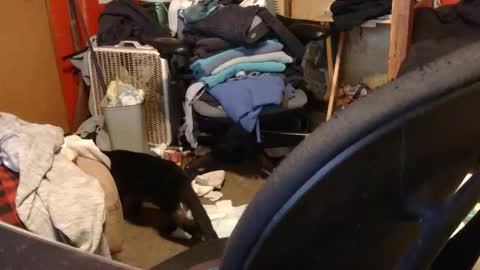 desolation2012 online show from 03-27-26, 05:02